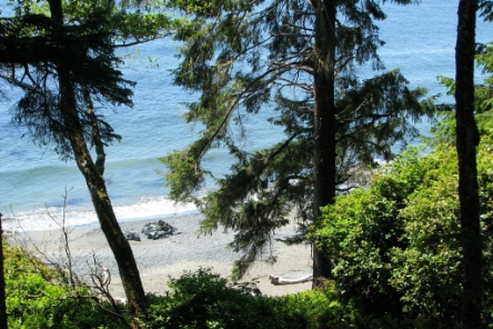 view of beach through trees